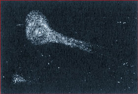 Comet Biela in apparition of 1846